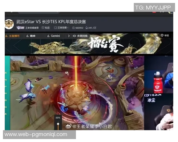 TES战队崛起与王者荣耀的力量变革探讨